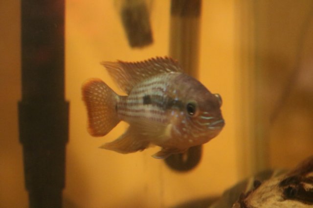 10782635952_IMG_7062.JPG
