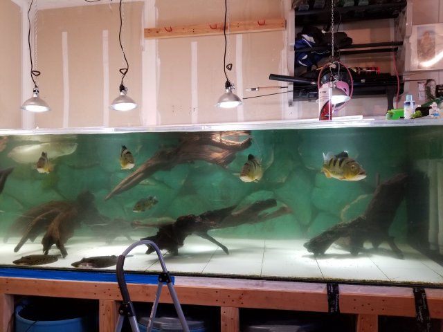 20180417_182045.jpg 20180417_182045.jpg