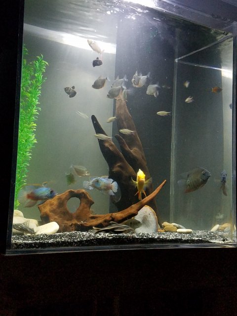 20181027_055436.jpg