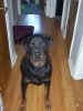 Nate's Pictures 012.jpg