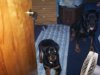 Nate's Pictures 038.jpg