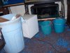 fish pics 067.jpg