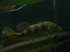 DSC01386.JPG