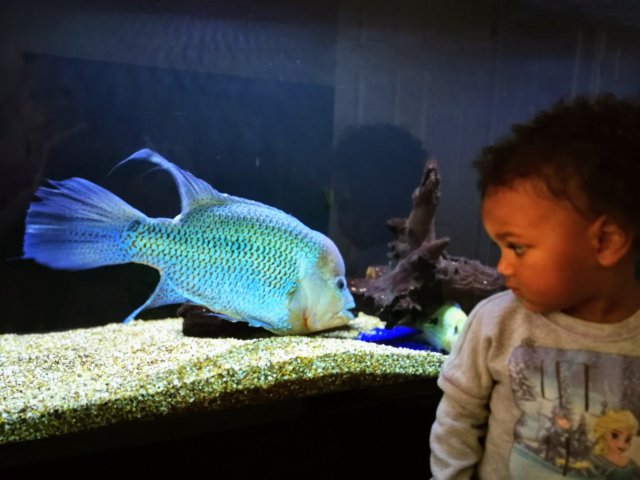 IMG_20181001_142308.jpg