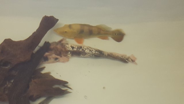 20180813_145854.jpg
