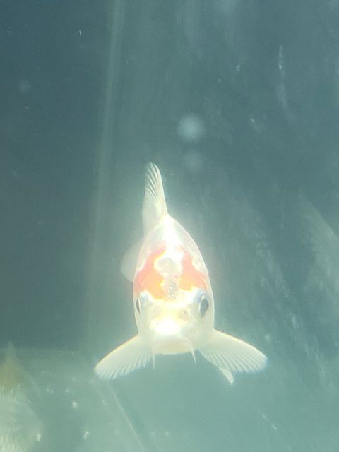 20181103_093857.jpg