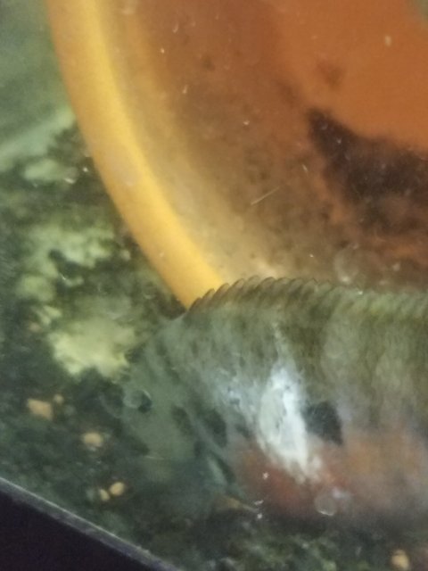 20181105_114432.jpg 20181105_114432.jpg