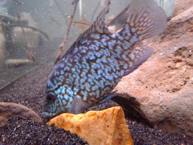 20181028_143447.jpg