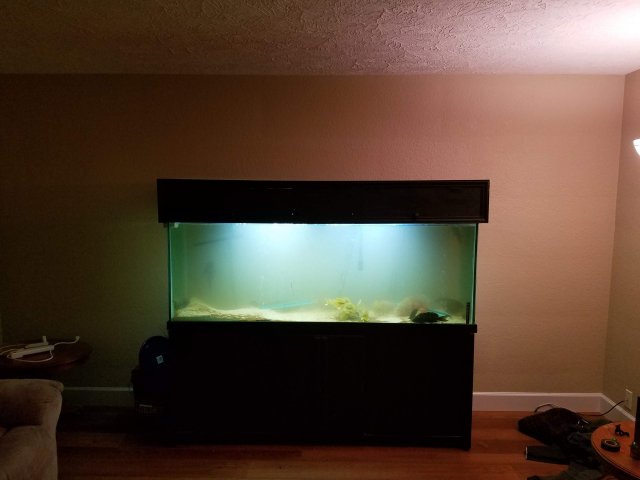 20181107_230850.jpg
