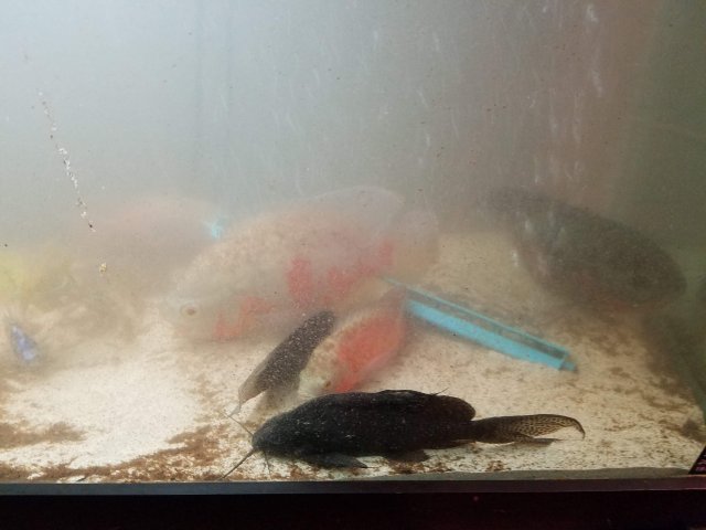 20181107_230901.jpg