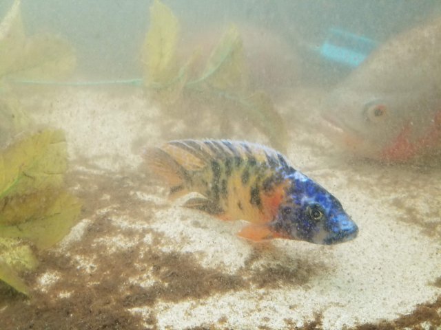 20181107_230905.jpg