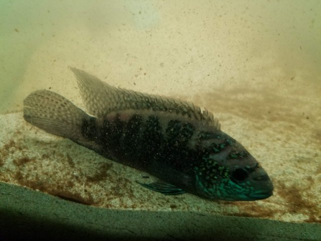 20181107_230913.jpg