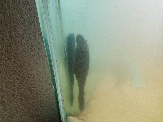 20181107_230916.jpg