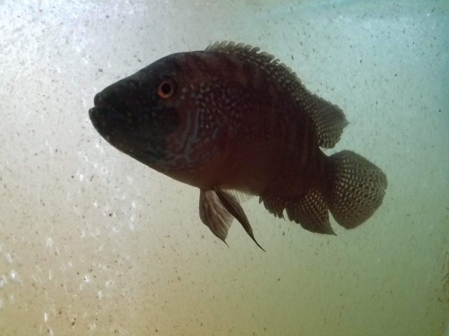 20181107_230928.jpg
