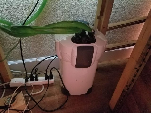 20181107_231032.jpg