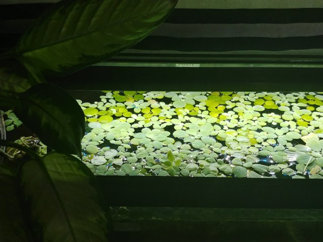 20181107_190021_HDR.jpg