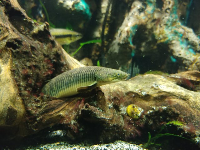 20181101_173617.jpg