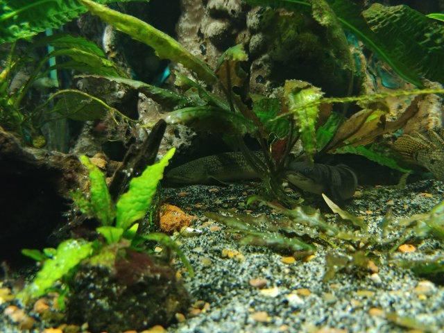 20181101_173515.jpg