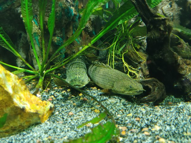 20181101_173435.jpg