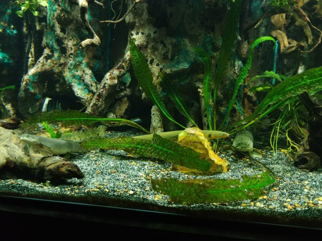 20181101_173554.jpg