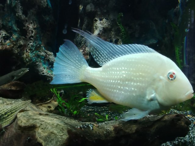 20181101_173855.jpg