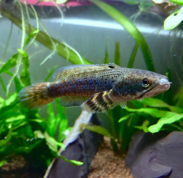 391C5DCB-3F5D-4341-B6F5-DB81A54F7519.jpeg 391C5DCB-3F5D-4341-B6F5-DB81A54F7519.jpeg