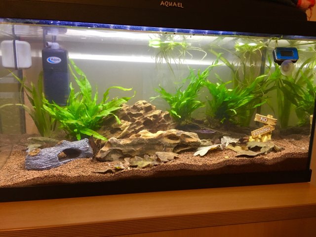 F94D25E5-3835-4CB5-B0B7-5A5E325F70EE.jpeg F94D25E5-3835-4CB5-B0B7-5A5E325F70EE.jpeg