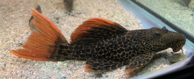 IMG_8405.jpeg IMG_8405.jpeg