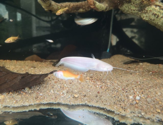 IMG_20181113_233401.jpg IMG_20181113_233401.jpg