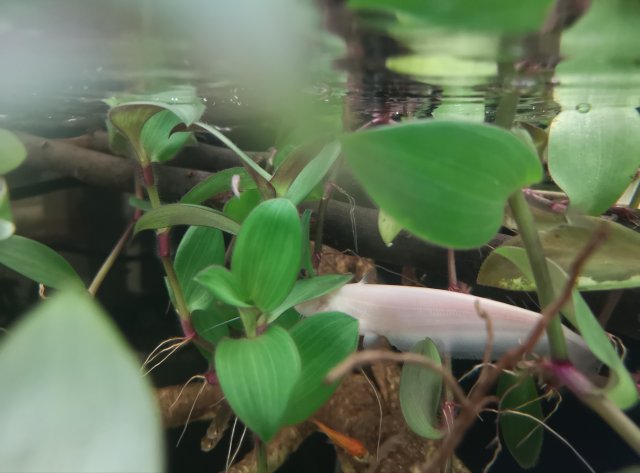 IMG_20181113_233326.jpg IMG_20181113_233326.jpg