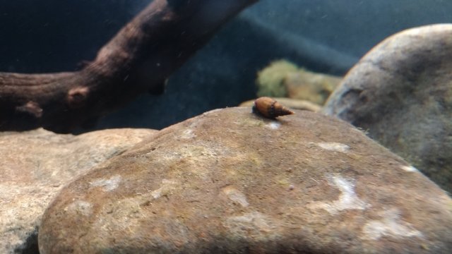 P_20181111_162304_vHDR_Auto.jpg P_20181111_162304_vHDR_Auto.jpg