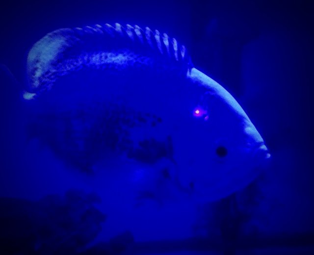 20181113_215651.jpg