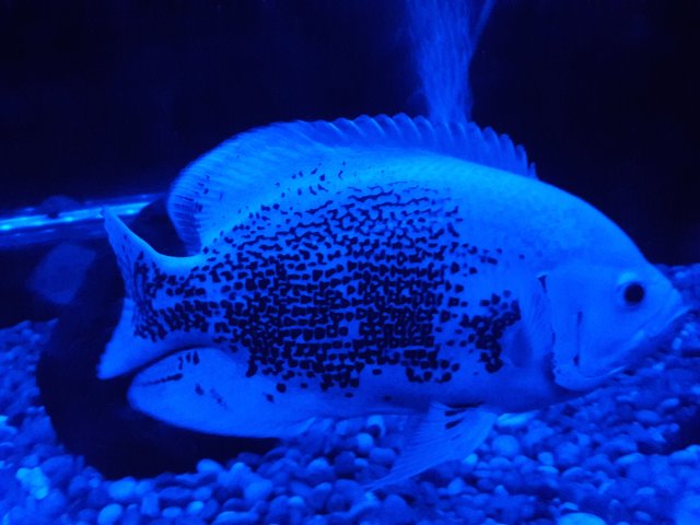 20180319_010807.jpg