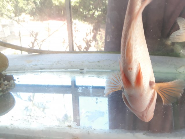 20181112_152150.jpg 20181112_152150.jpg