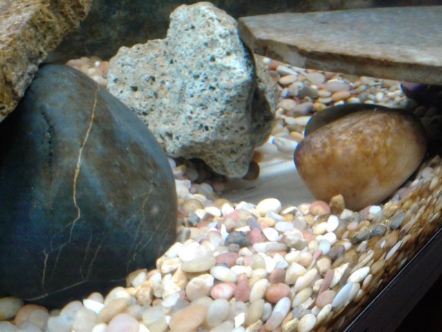 20181114_112944.jpg 20181114_112944.jpg