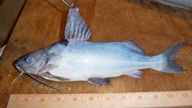 100_8310.JPG