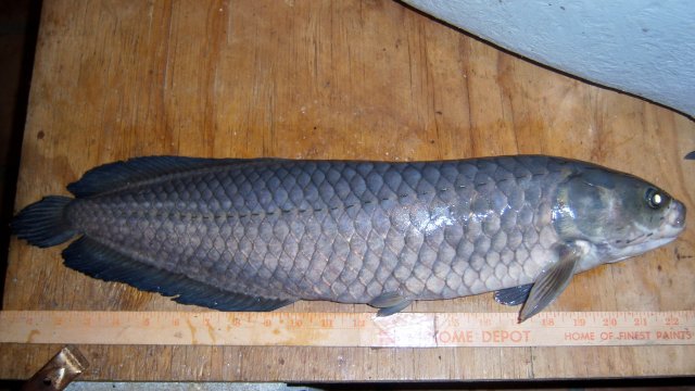 100_8362.JPG