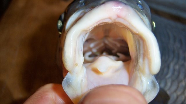 100_8364.JPG