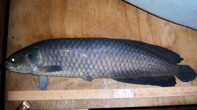 100_8366.JPG