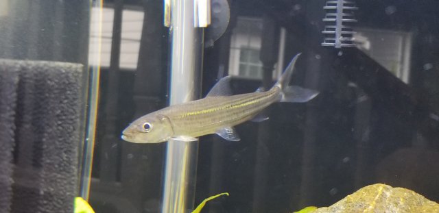 20181116_153358.jpg