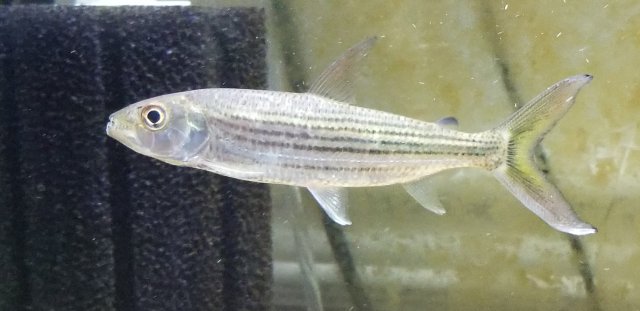 20181116_150641.jpg