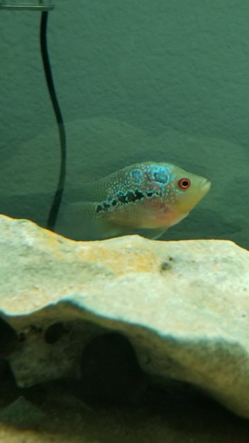 20181117_085144.jpg