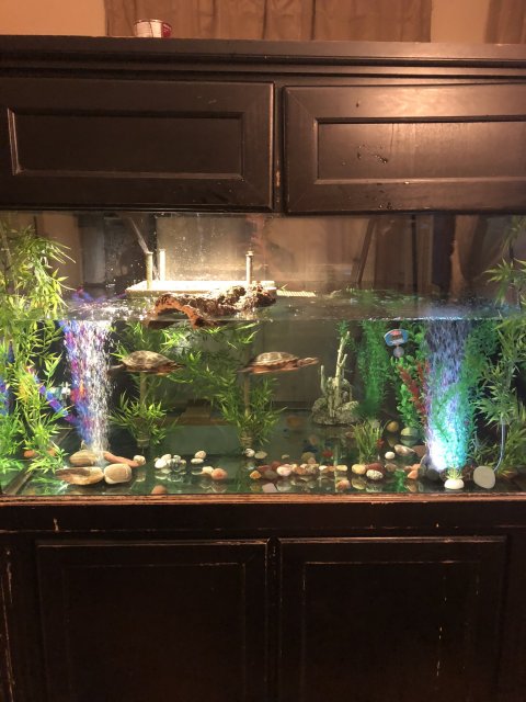 4B58D8EF-5C8C-4191-A0C1-FD4CD6F0EA4F.jpeg 4B58D8EF-5C8C-4191-A0C1-FD4CD6F0EA4F.jpeg