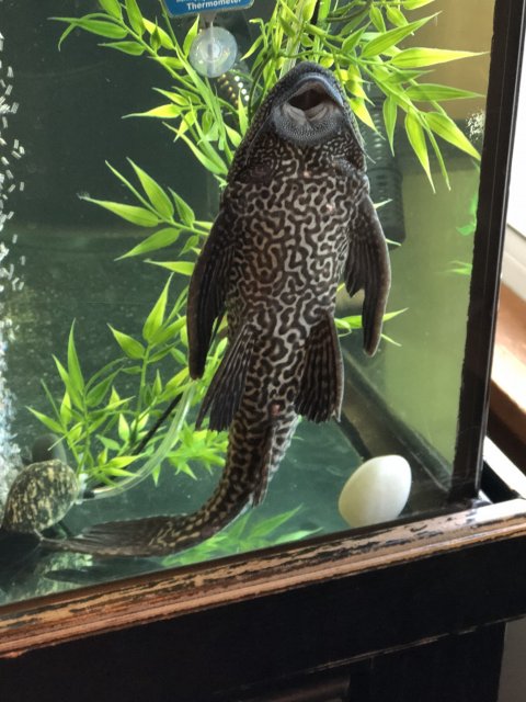 CB46CE56-E97E-43B4-B7F6-EC955FF7528F.jpeg CB46CE56-E97E-43B4-B7F6-EC955FF7528F.jpeg