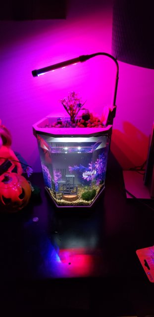 20181025_202933.jpg