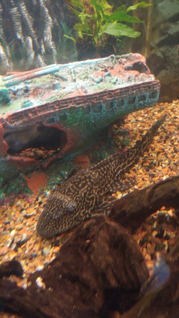 20181124_103519.jpg