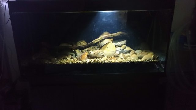 P_20181123_220205_vHDR_Auto.jpg