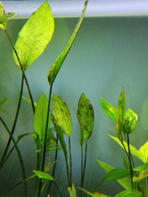 20181125_142227.jpg 20181125_142227.jpg