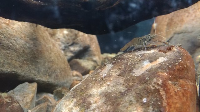 P_20181126_202413_vHDR_Auto.jpg