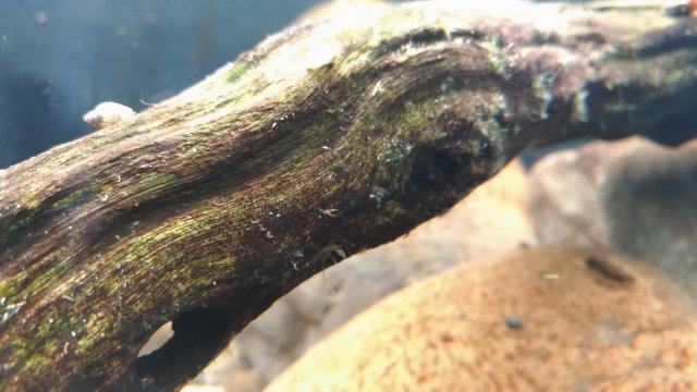 P_20181126_203409_vHDR_Auto.jpg